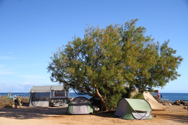 3 Mile Camp - Primo Site