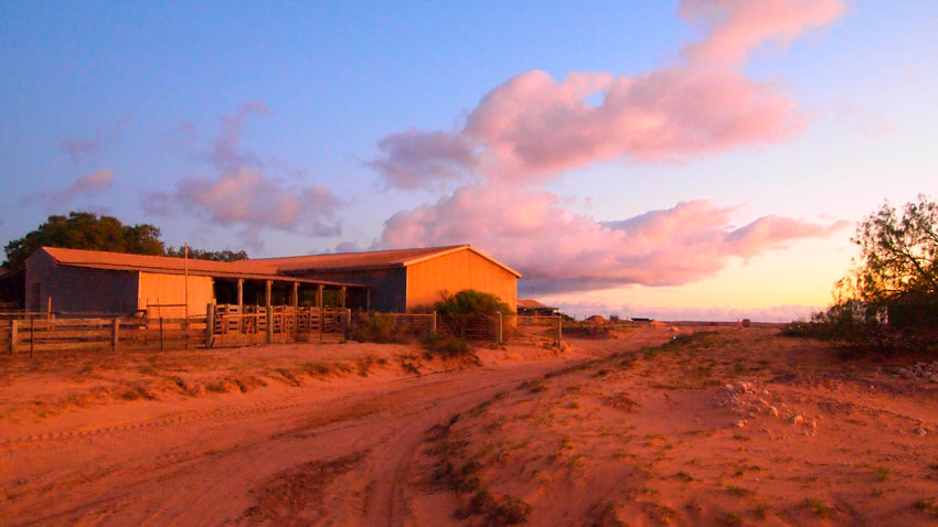 Shearing Shed