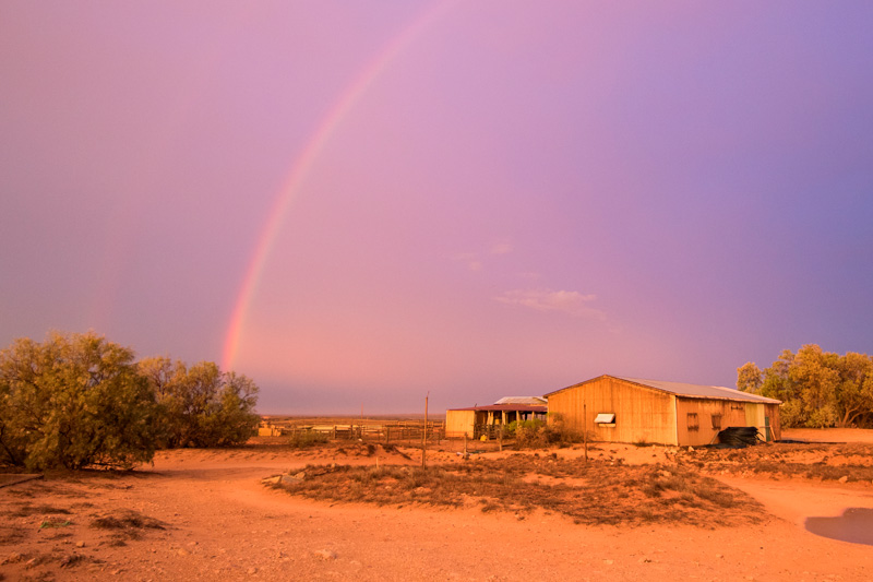 Shearing Shed